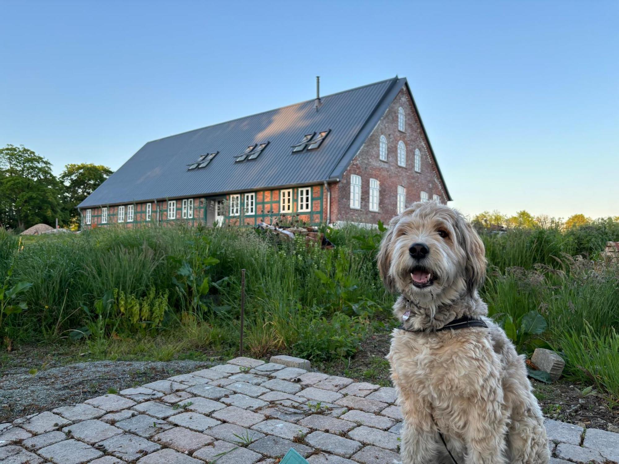 Niedersaechsisches Hallenhaus Im Modernen Gewand Lilienthal  ภายนอก รูปภาพ
